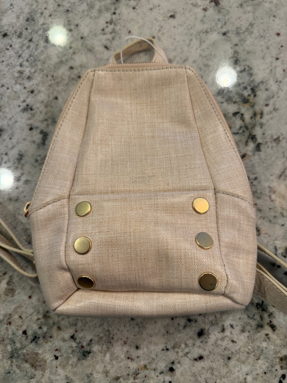 Hammitt Beige Canvas Backpack with Gold Hardware